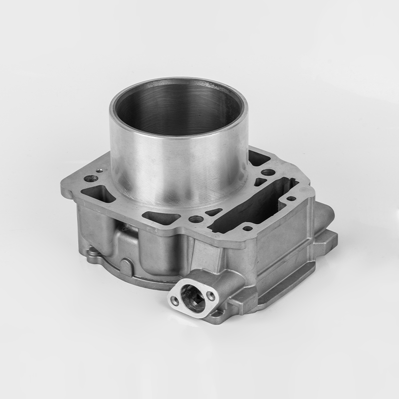 Liangzi 1000 (Φ91) Bombardier 1000 motorsylinder holdbar serie