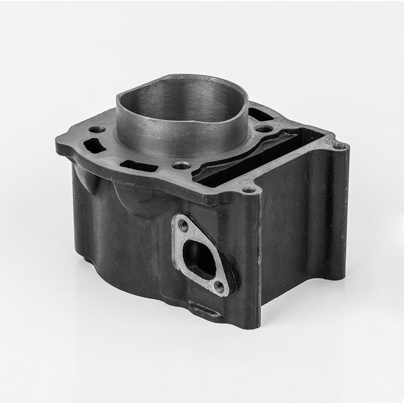 2V73 (Φ72.5) støpejernsslitasjebestandig sylinderserie